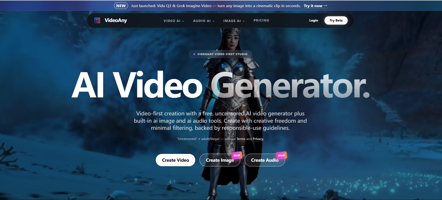 VideoAny
