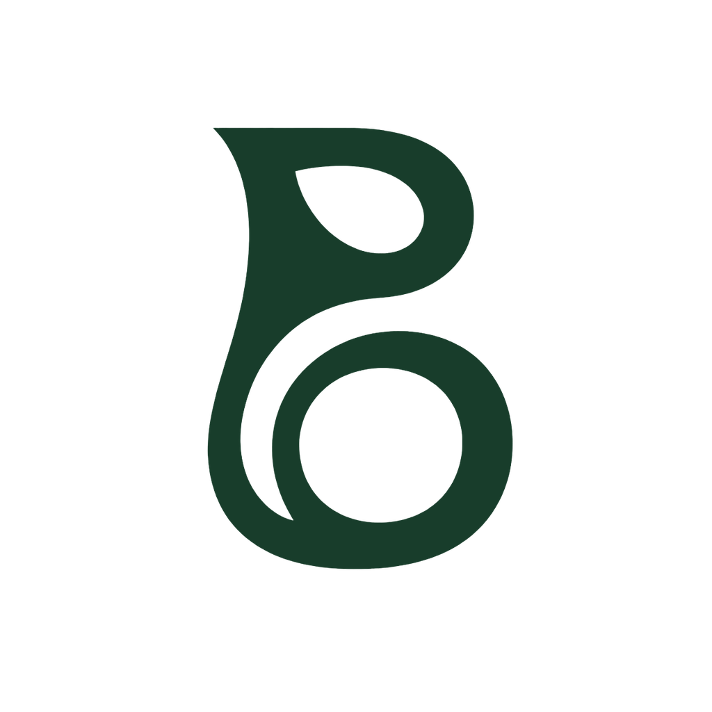 Bonsivo